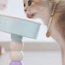 예뻐서그램