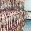 영동여인숙 - 제천시 내토로24길 3 | 영동여인숙