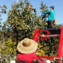 풍미농장 이미지