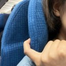 462 | 다낭 태교여행 : 대한항공 다낭->인천 KE462 일반석 가격 좌선간격 위탁수화물 특별식 기내식 후기