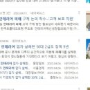 춘천 송암스포츠타운 빙상장 이미지