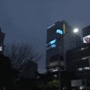 티플렉스(TFLEX) 이미지