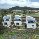 애월 별스테이 | 제주 애월 펜션 추천 감성Dorm 오션뷰 자쿠지 애견동반 스테이