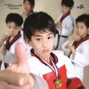 박사 엘리트 태권도 이미지