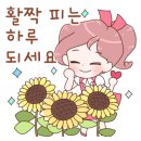 대덕구노인복지센터 이미지