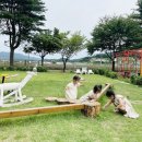 더플레이그라운드 - 강동구 성안로 30 | 더플레이그라운드