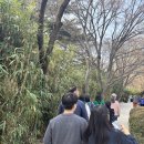 봄나드리투어(각북) | [공지] [경주 투어 추천] 경주 나드리 불국사 투어 - 프라이빗 경주가볼만한곳