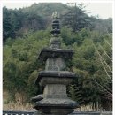 뱀사골특산품 이미지