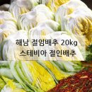 해남군 재활용품 선별시설 | 해남 절임배추 20kg 스테비아 절인배추, 이 가격에 이 품질?