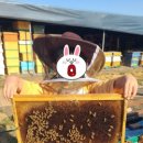 다사농장 이미지