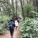 진위현길 이미지