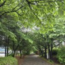 영비타민 | 올리브영 메디힐 비타민C 브라이트닝 세럼 & 마스크팩 내돈내산 후기 ( 함량 , 사용감 )