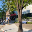 파주우체국 이미지