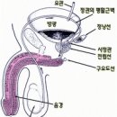 지리산한약방 이미지