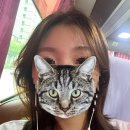 혜원주유소 | 2025 기후특사단 필리핀 참가 후기(출국, 1일차)