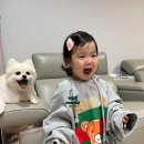 퓨마 | 산타마리아노벨라 반려동물용 데오드란트 무스치오 알 프로퓨마 내돈내산 후기 & 상세 시향 리뷰!!!