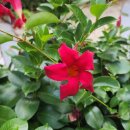 여주-0719 이미지