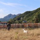 순양농장 이미지