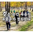 2024 09 26 걷는 순간 죽음의4중주가 정지된다 이미지