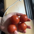 3박 4일 후쿠오카 여행 (2)