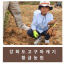 강화도황금농원