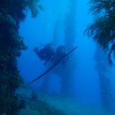 듀 포인트 이미지