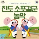 진도소포걸군농악 | ✨진도소포걸군농악에 대해 알아보아요✨