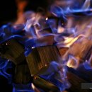 가시버시미용실 | 주말캠핑을 여주 가볼만한곳 캠핑장 팜스퀘어에서 만남.