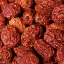 부영농원 이미지