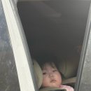 카우스톨 이미지