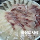 울산회시장 이미지