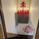 산본두성프라자(두성빌딩) | 싱그러운 봄시즌메뉴 런치코스 우루루 산본점 단독룸에서 고급스럽게