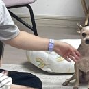 나나매점 이미지