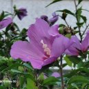 호국원제2충령당 이미지