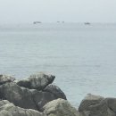 군지경로 네이버블로그