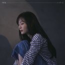 하이니 카카오 검색결과