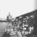 부산신항국제터미널(PNIT) | 1407년 부산포가 개항한 이후 부산항,,, '부산신항 프로젝트'