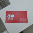 댕이쌀롱 네이버블로그