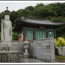 안락정사 Daum카페