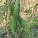 대조합기도 이미지