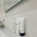 피티온 중동점 이미지