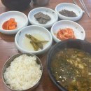 배츄밭