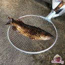 원조할매자연산메기매운탕 이미지