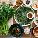 숲속아이 3 이미지