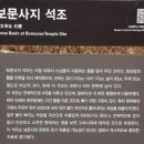 광장카 이미지