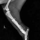 삼화 우수한동물병원 이미지