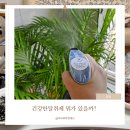 그린나라 피톤치드 편백수 탈취제 효과는? 아기 용품에도 안심 사용 후기