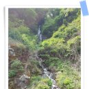 강촌레일바이크 이미지