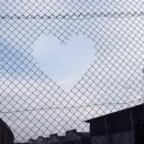 데일리빈 이미지