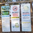 평화문구 | 파주 임진각 여행 코스 (곤돌라+캠프그리브스+평화전망대)